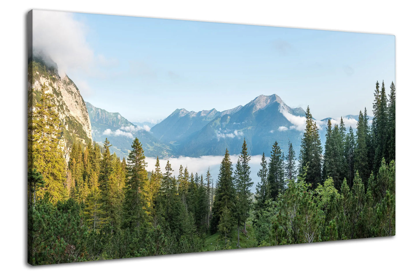 Leinwandbild - Alpenwald im ersten Licht