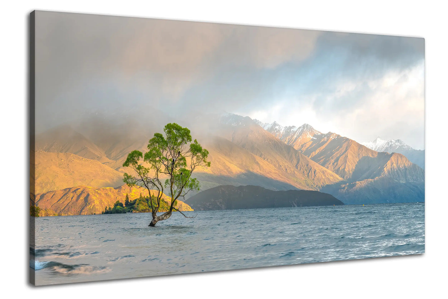Leinwandbild - Einsamer Baum im Bergsee
