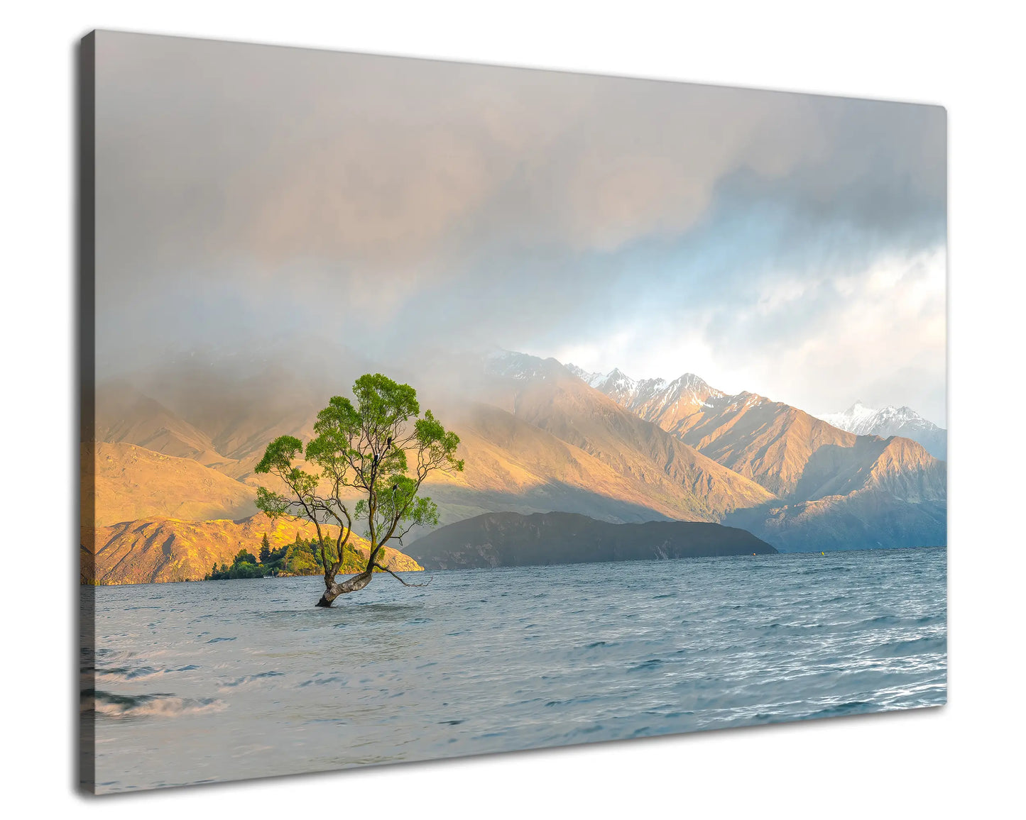 Leinwandbild - Einsamer Baum im Bergsee