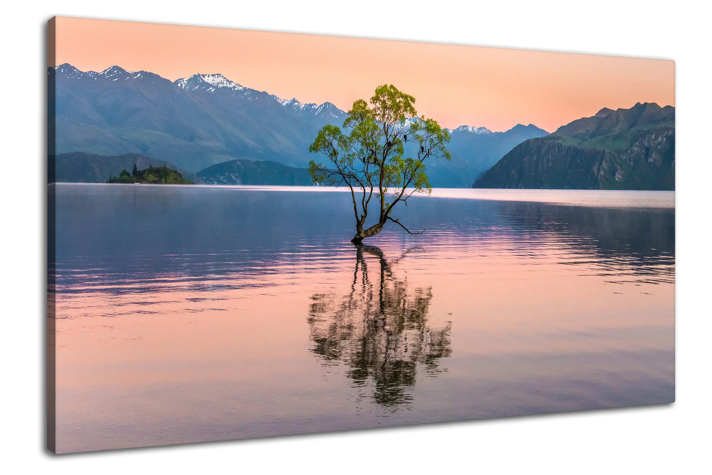 Leinwandbild mit dem Wanaka Tree im stillen Bergsee bei Sonnenaufgang