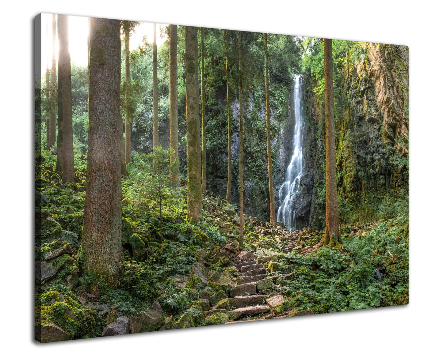 Leinwandbild Wald mit steinerner Treppe im Schwarzwald mit Wasserfall