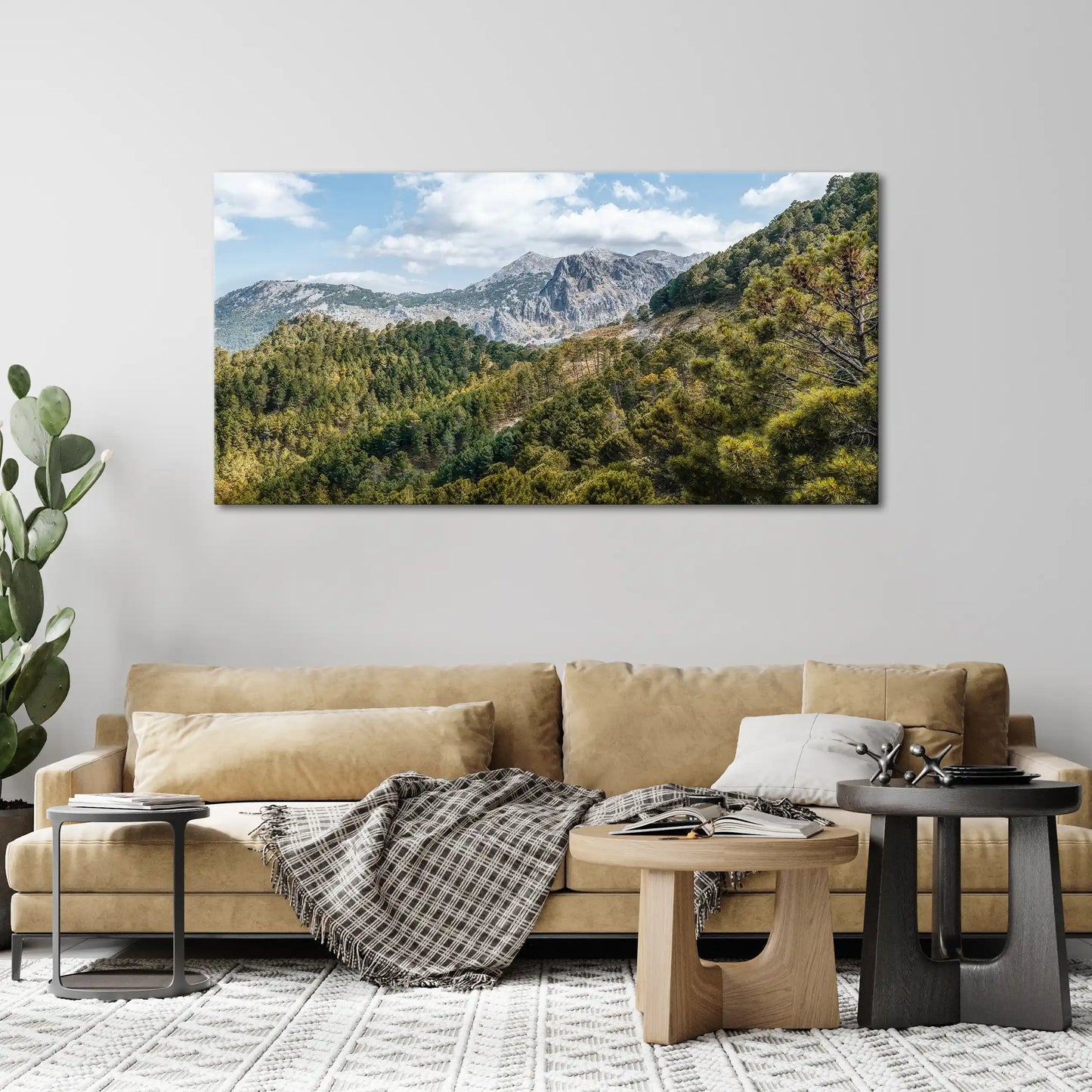 Leinwandbild Bergwald in Andalusien mit Pinienbäumen