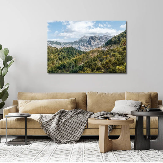 Leinwandbild Bergwald in Andalusien mit Pinienbäumen