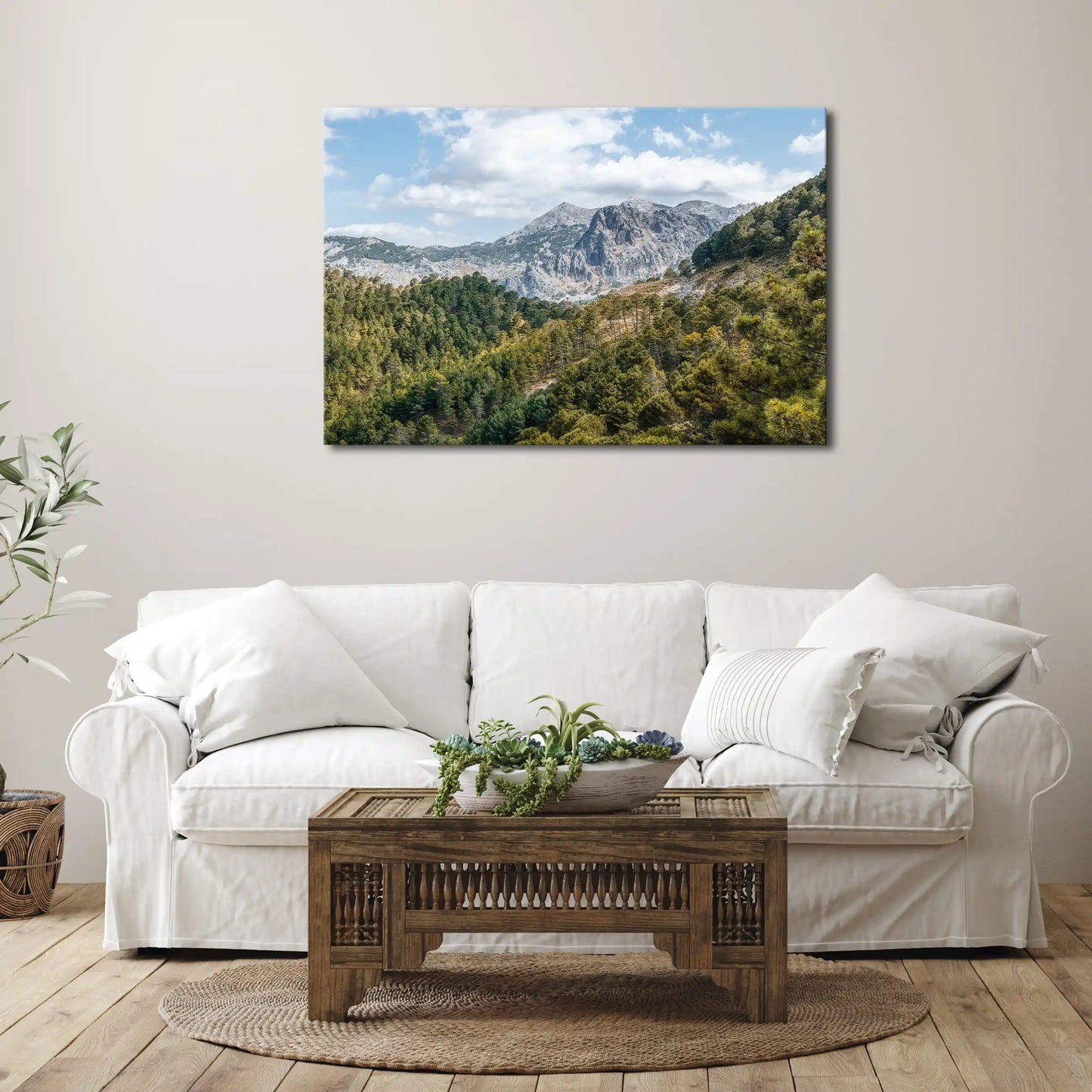 Leinwandbild Bergwald in Andalusien mit Pinienbäumen