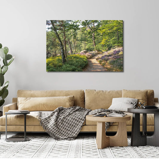 Leinwandbild grüner Wald Pfad bei Sonnenaufgang