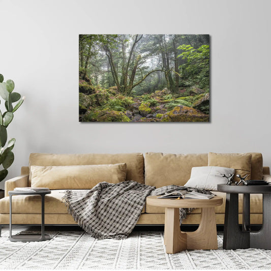 Leinwandbild grüner Wald und Urwald in mystischem Nebel