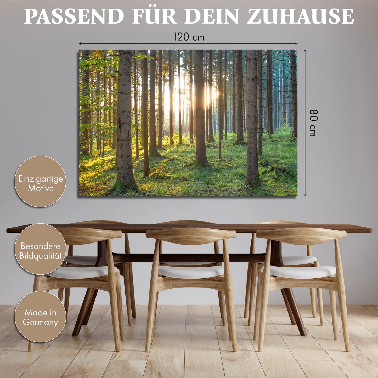 Leinwandbild grüner Wald im Sonnenaufgang