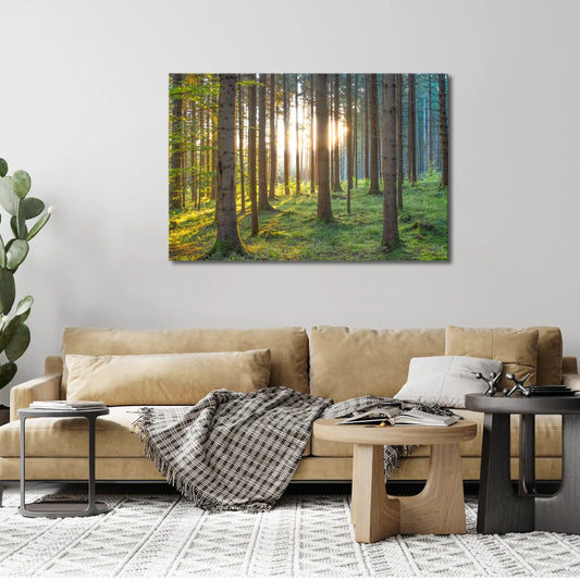 Leinwandbild grüner Wald im Sonnenaufgang