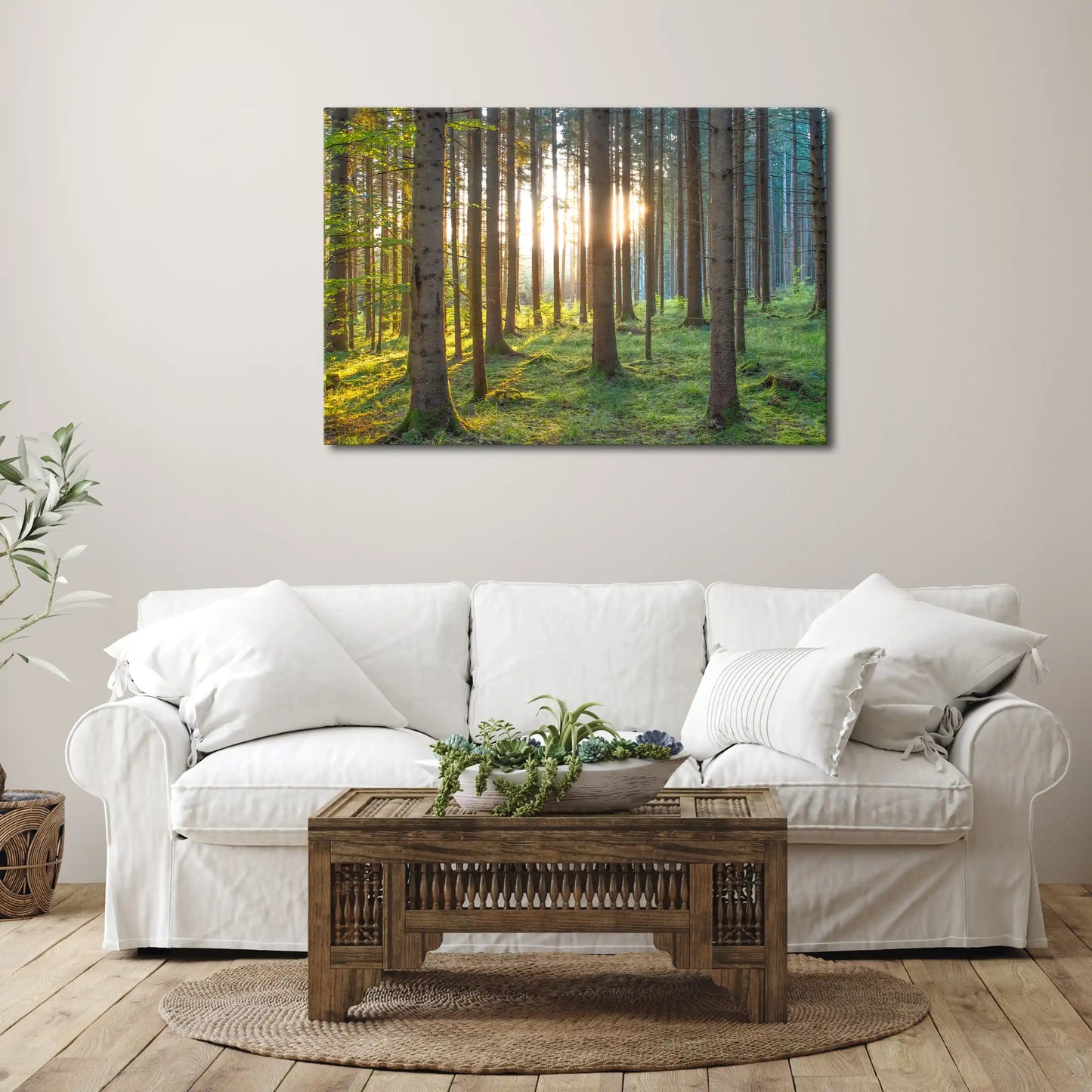 Leinwandbild grüner Wald im Sonnenaufgang