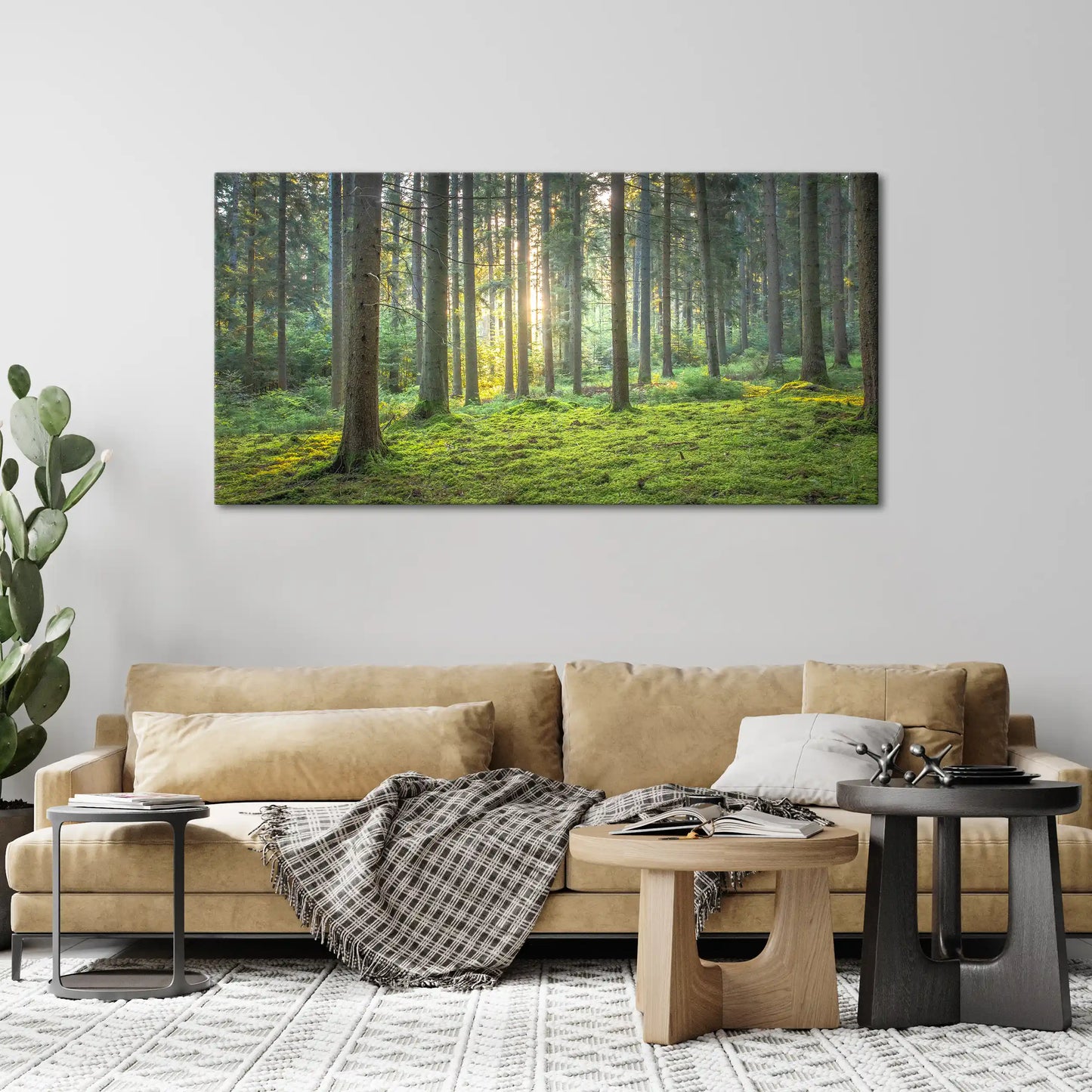 Leinwandbild grüner Wald mit Moos bei Sonnenaufgang