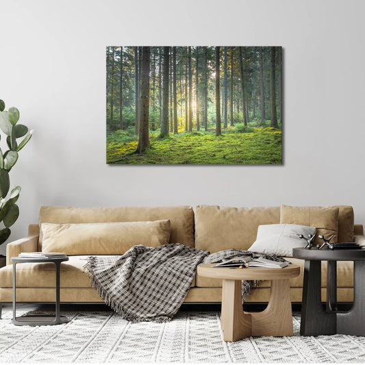 Leinwandbild grüner Wald mit Moos bei Sonnenaufgang