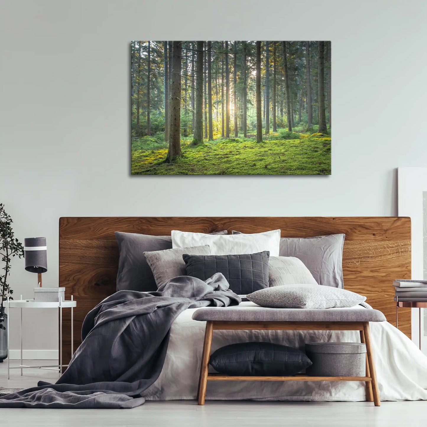 Leinwandbild grüner Wald mit Moos bei Sonnenaufgang