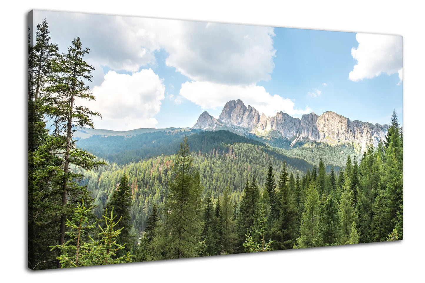 Leinwandbild mit Fichtenwald und Bergen in den Alpen