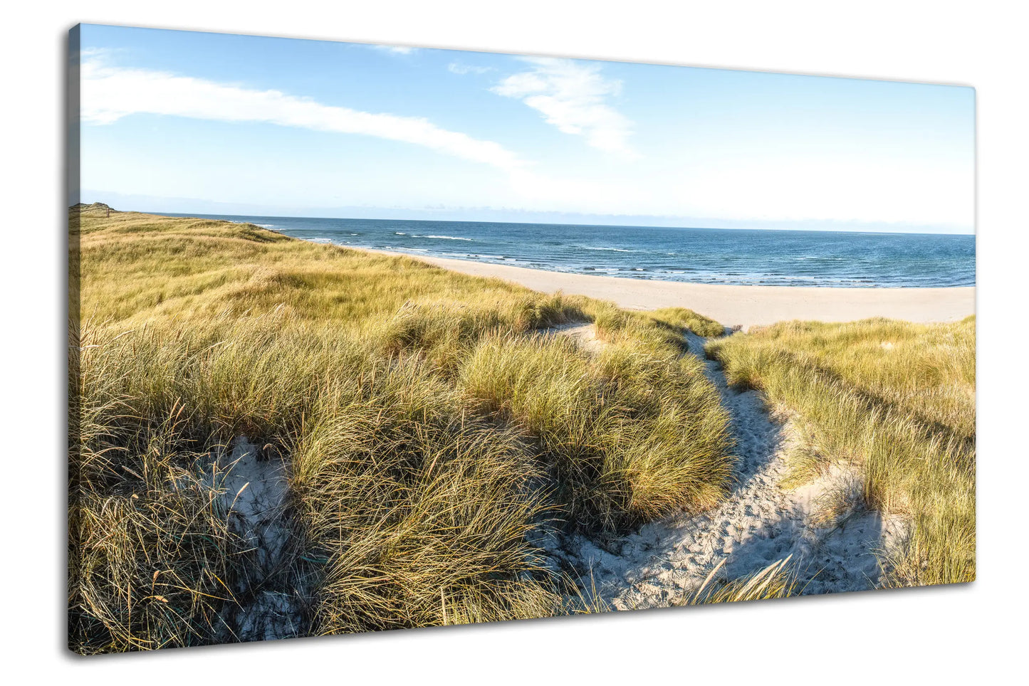 Leinwandbild goldene Düne an der Nordsee bei Sonnenaufgang