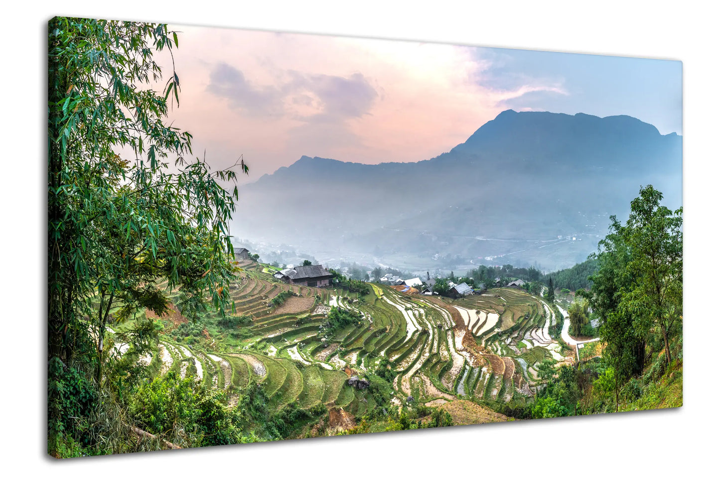 Leinwandbild Reisfelder bei Sapa in Vietnam bei Abendstimmung
