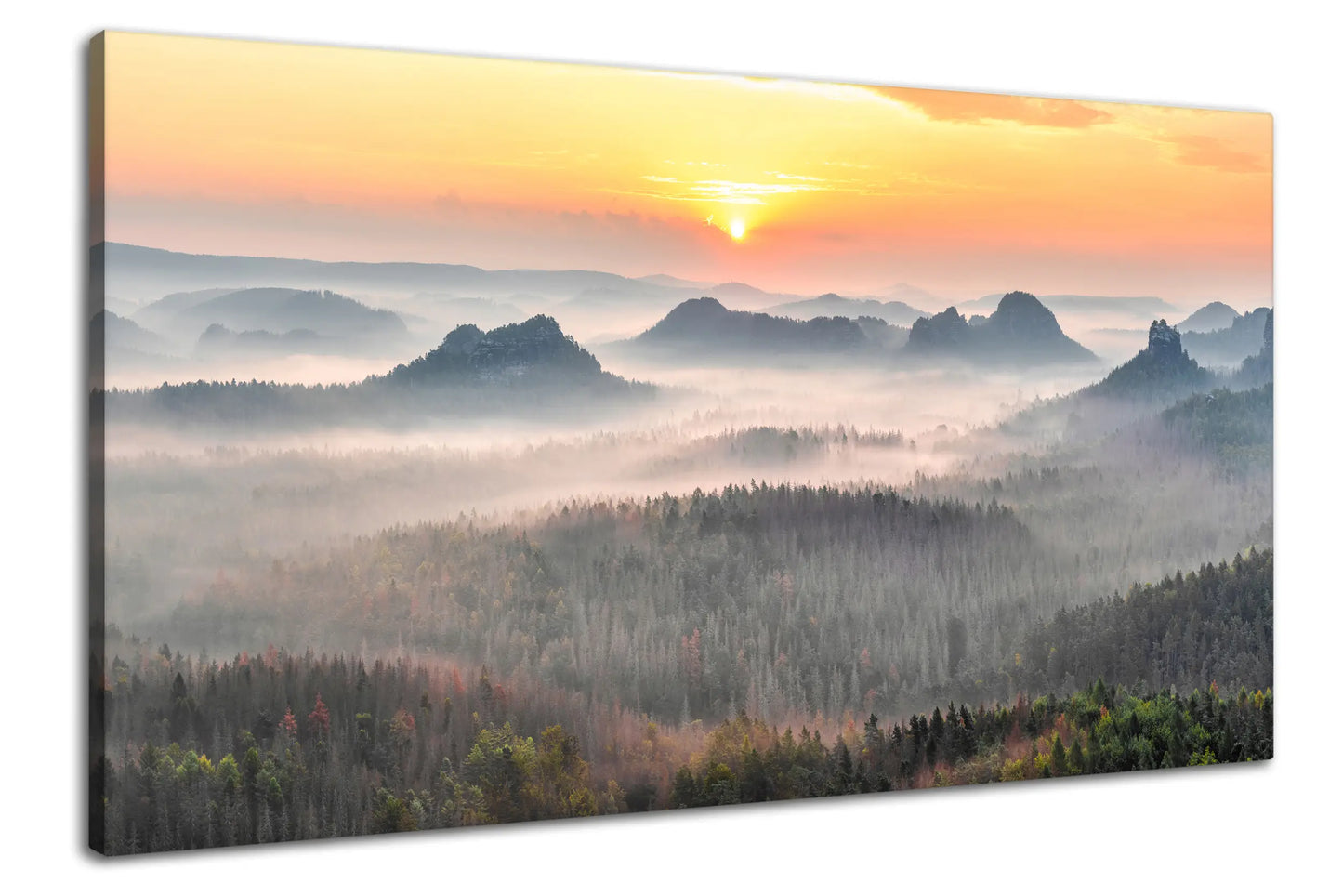 Leinwandbild Sonnenaufgang mit Nebel in einem Tal einer Wald Landschaft