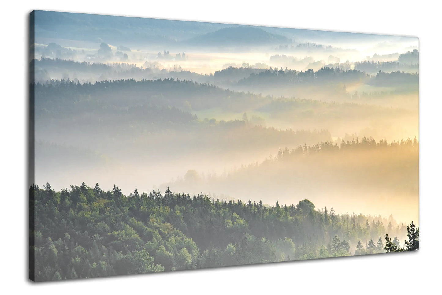 Leinwandbild Morgenlichter und Nebel im Elbstandsteingebirge