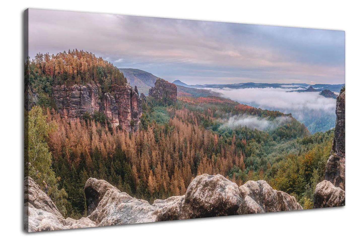 Leinwandbild Wald Landschaft in mystischem Nebel