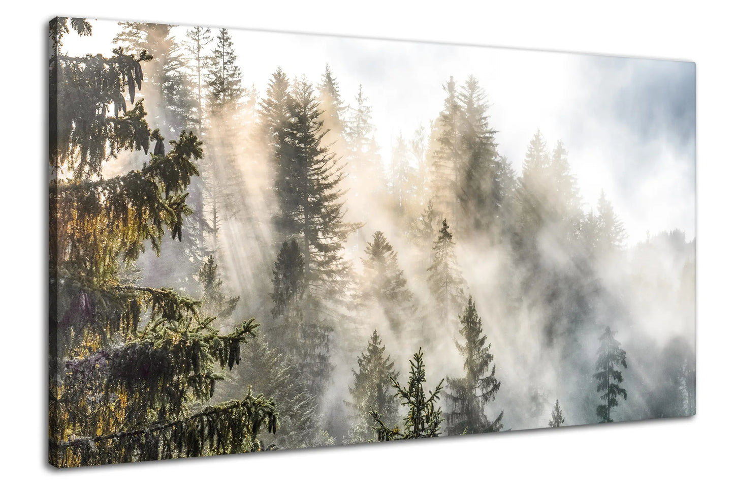 Leinwandbild Sonnenstrahlen durch Nebel im Schwarzwald