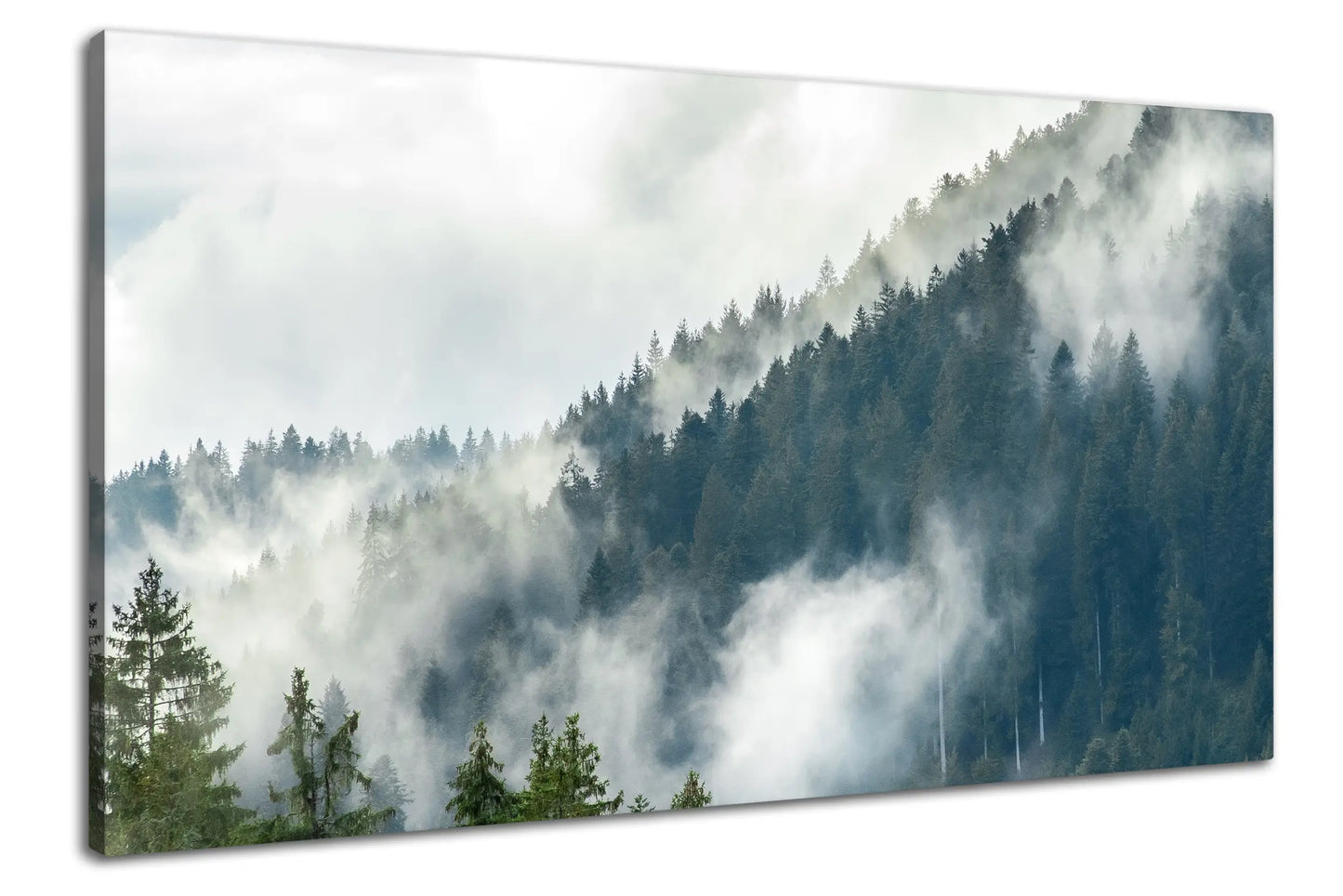 Leinwandbild mystischer Wald im Nebel