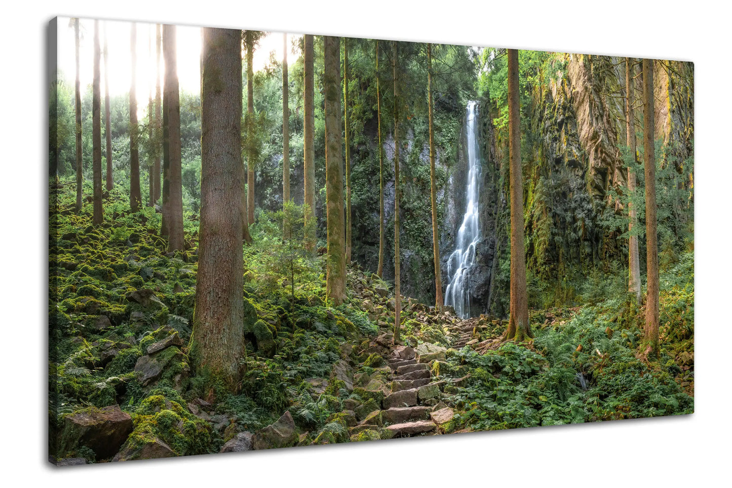 Leinwandbild Wald mit steinerner Treppe im Schwarzwald mit Wasserfall