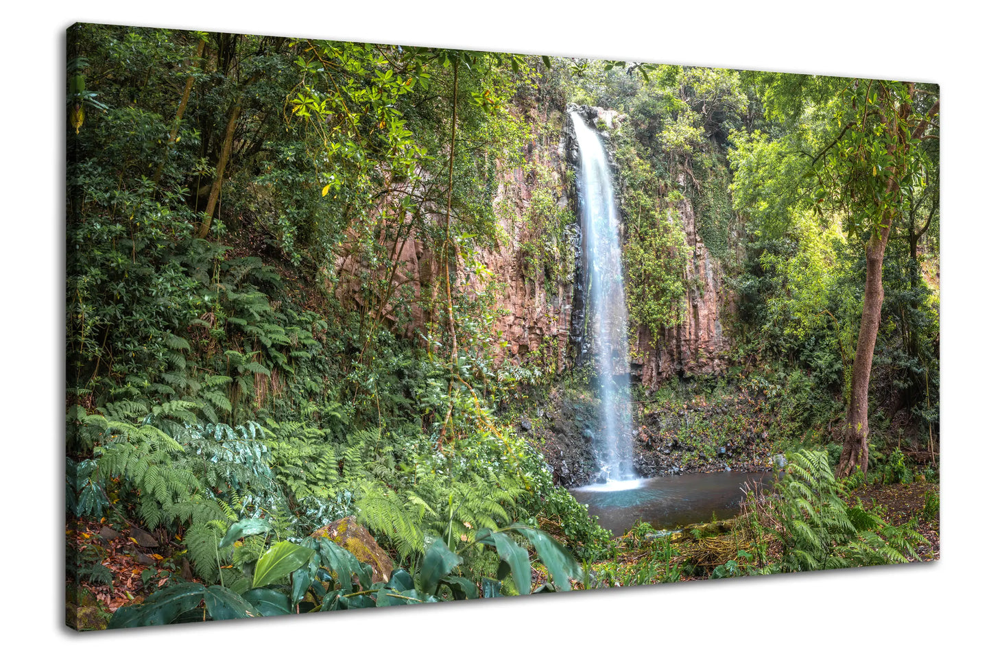 Leinwandbild Wald und Urwald an einem Wasserfall