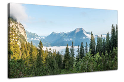 Leinwandbild - Alpenwald im ersten Licht