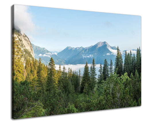 Leinwandbild - Alpenwald im ersten Licht
