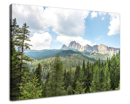 Leinwandbild - Fichtenwald in den Dolomiten