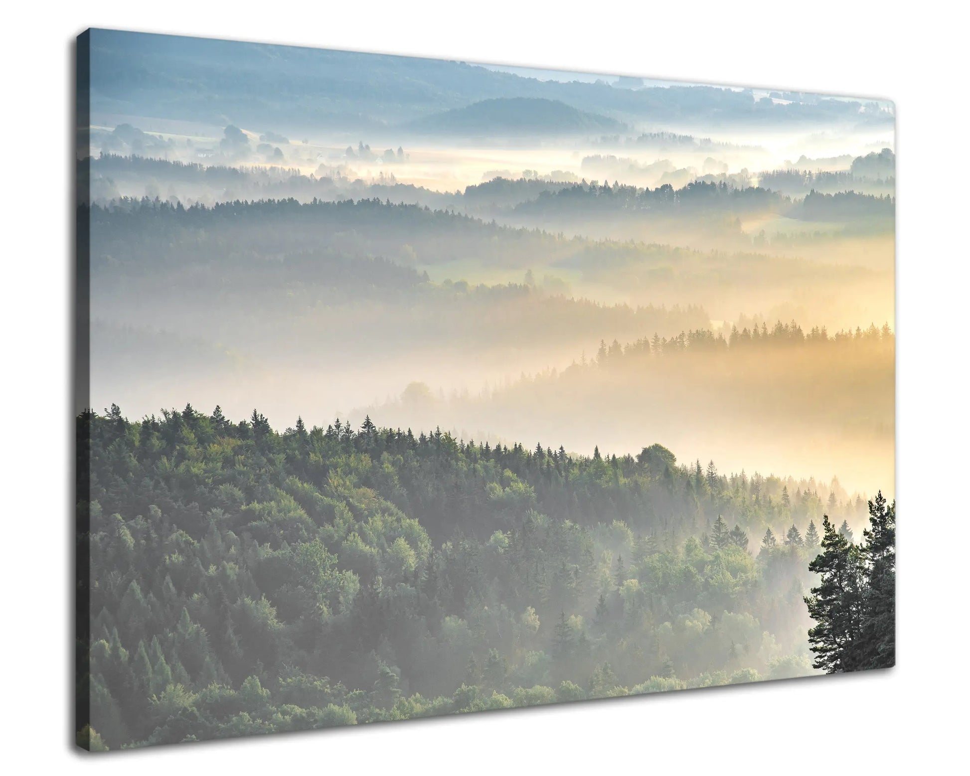 Leinwandbild Morgenlichter und Nebel im Elbstandsteingebirge