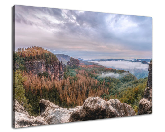Leinwandbild - Magischer Waldblick