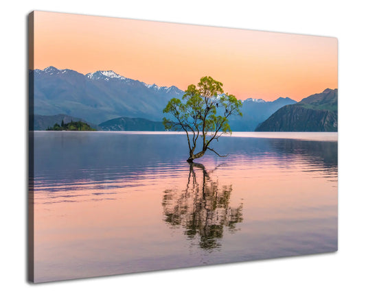 Leinwandbild - Verwunschener Baum im stillen See
