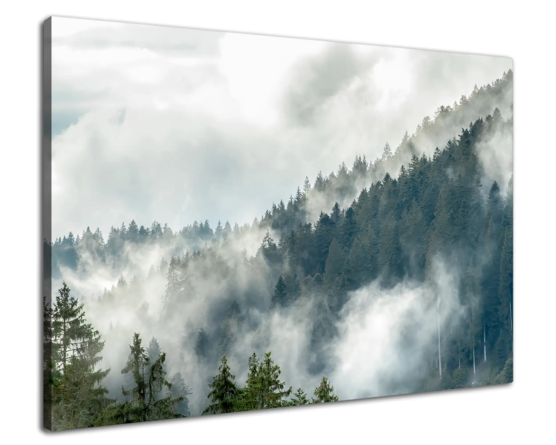 Leinwandbild mystischer Wald im Nebel