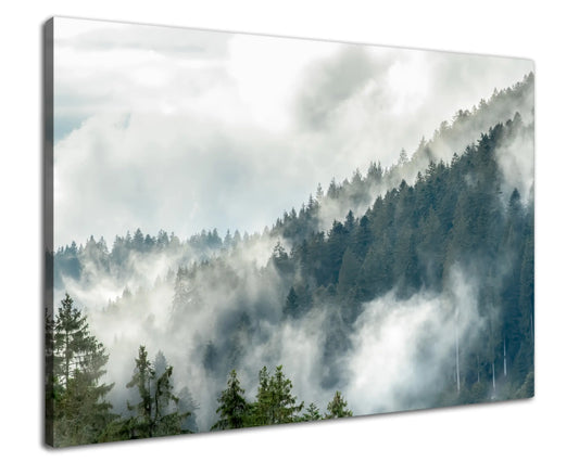 Leinwandbild - Mystischer Schwarzwald