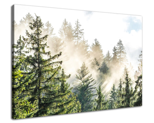 Leinwandbild - Morgennebel im Fichtenwald