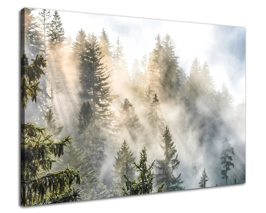 Leinwandbild - Nebel und Licht im Tannenwald