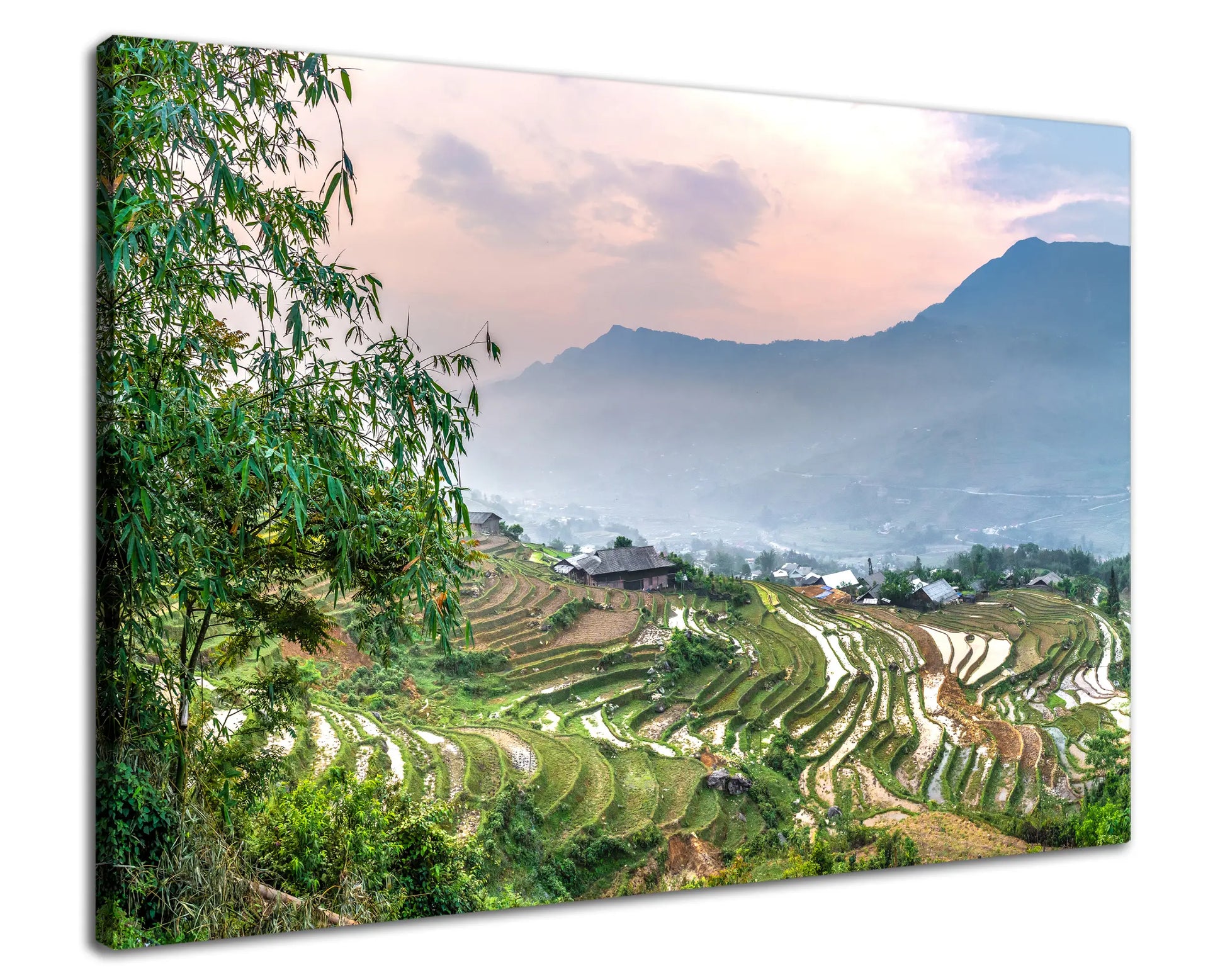 Leinwandbild Reisfelder bei Sapa in Vietnam bei Abendstimmung