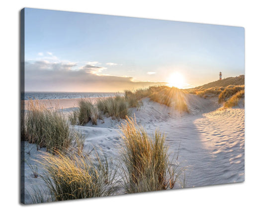 Leinwandbild - Düne im Morgenlicht