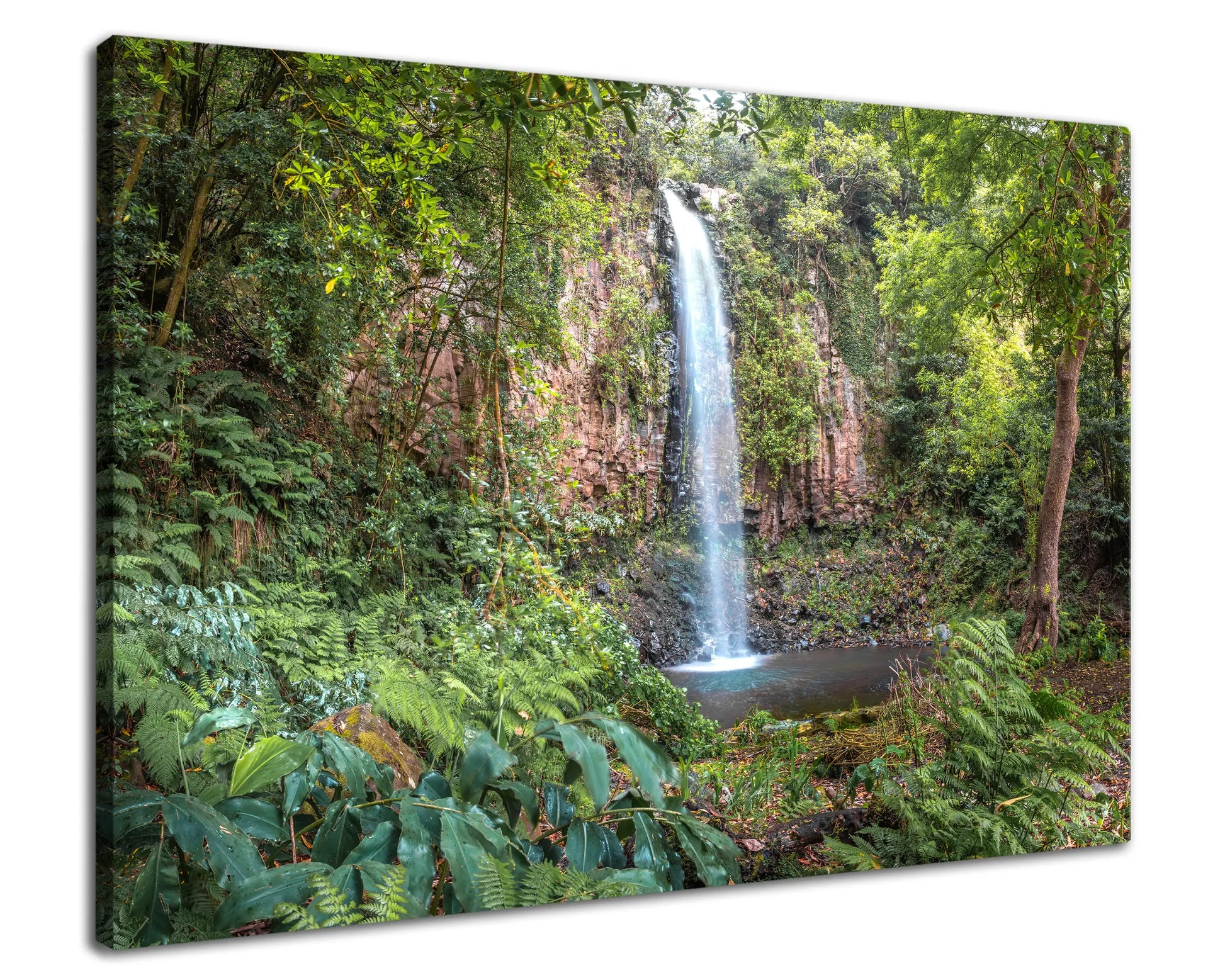 Leinwandbild Wald und Urwald an einem Wasserfall