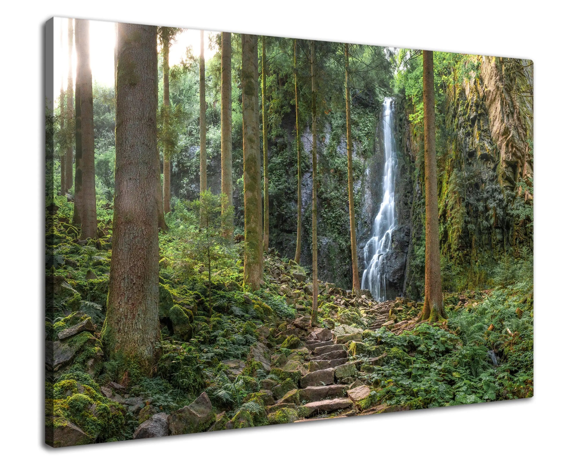 Leinwandbild Wald mit steinerner Treppe im Schwarzwald mit Wasserfall