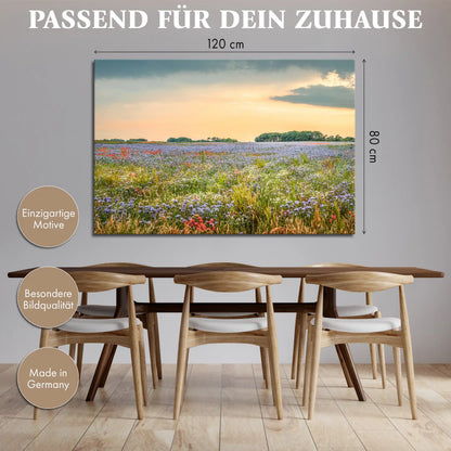 Leinwandbild einer bunten Blumen Wiese im Sonnenuntergang