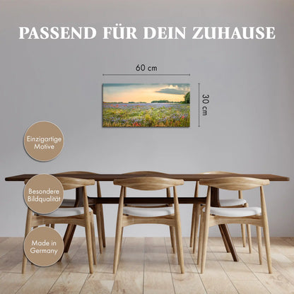 Leinwandbild einer bunten Blumen Wiese im Sonnenuntergang