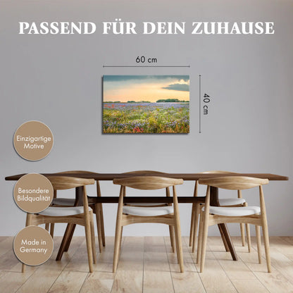 Leinwandbild einer bunten Blumen Wiese im Sonnenuntergang