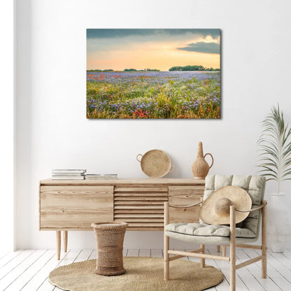 Leinwandbild einer bunten Blumen Wiese im Sonnenuntergang