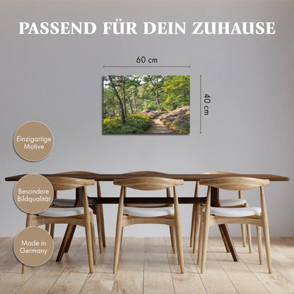 Leinwandbild - Sonnenlichter im Waldpfad