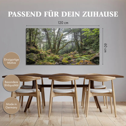 Leinwandbild - Verwunschener Urwald