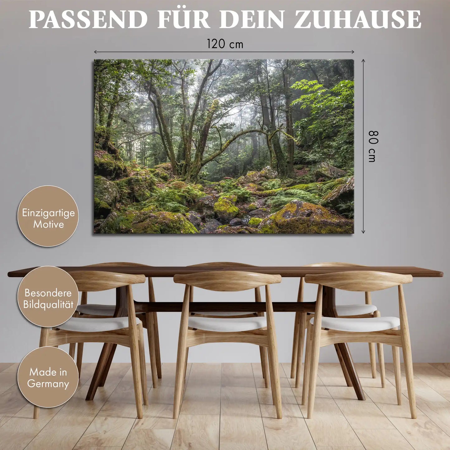 Leinwandbild - Verwunschener Urwald