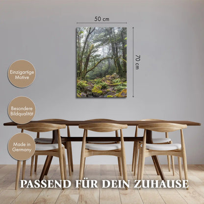 Leinwandbild - Verwunschener Urwald