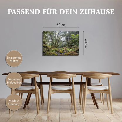 Leinwandbild - Verwunschener Urwald