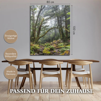 Leinwandbild - Verwunschener Urwald